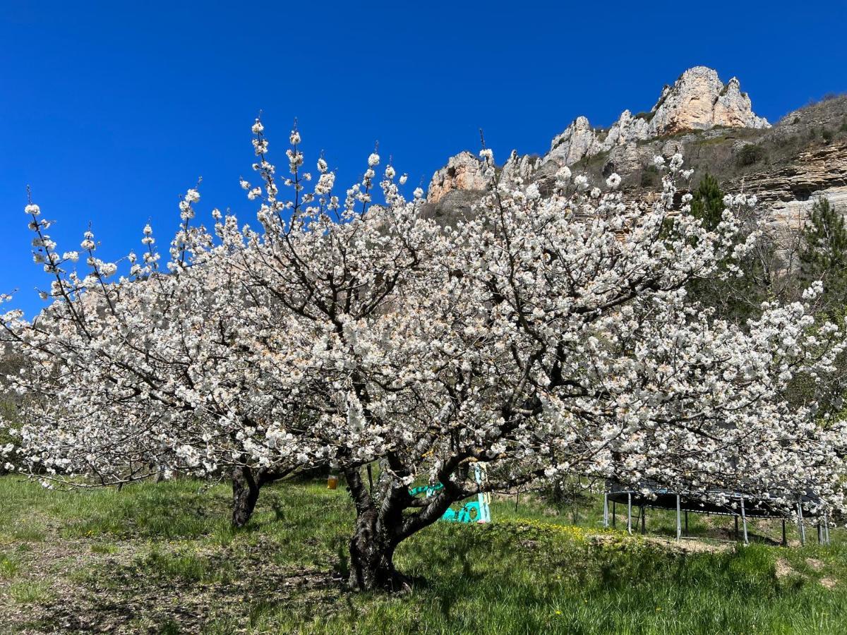 Gite Du Vallon Des Sources Мийо Экстерьер фото